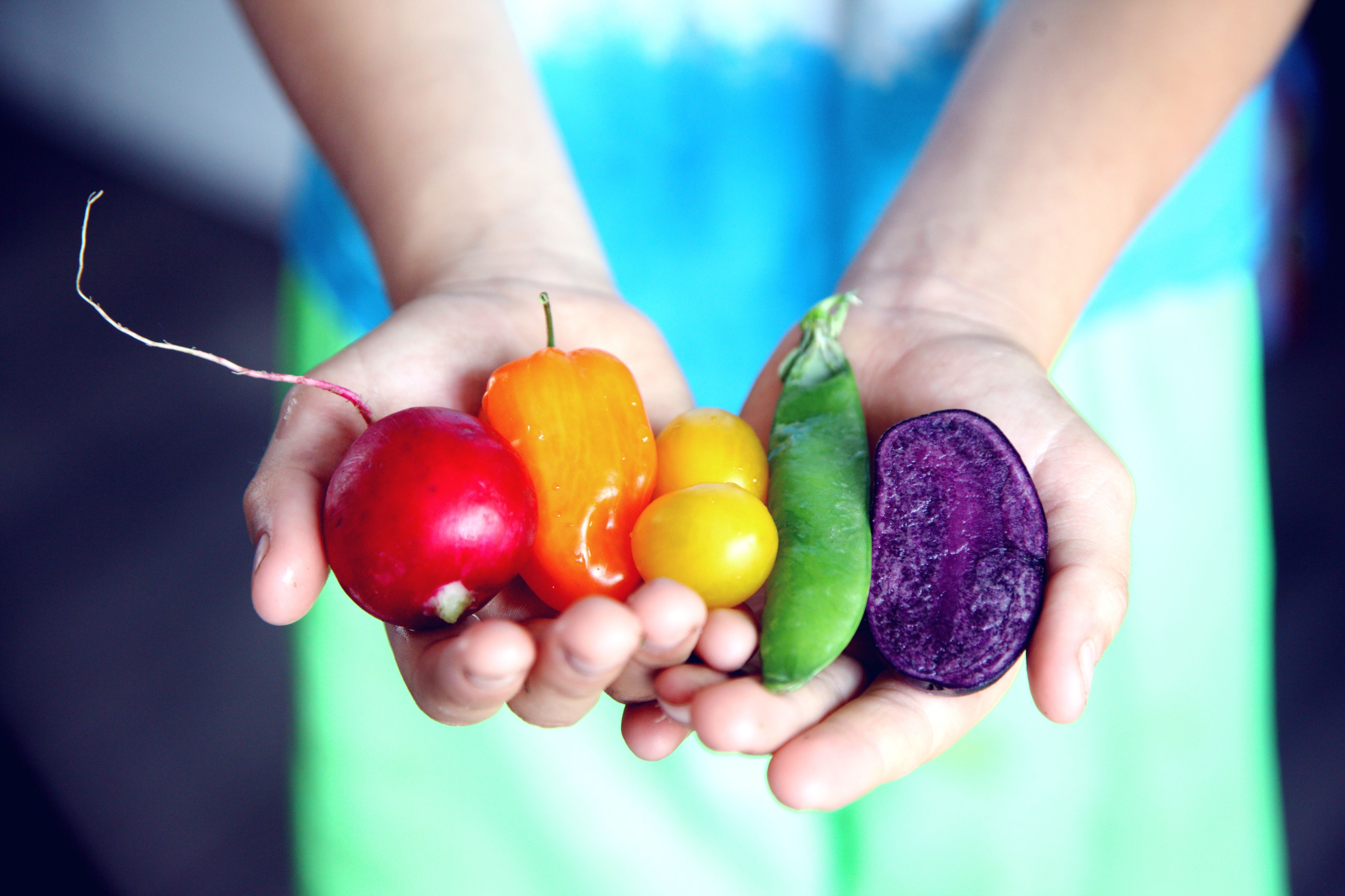 Eating the Rainbow: How Colorful Foods Can Help Kids Build Healthy Eating Habits