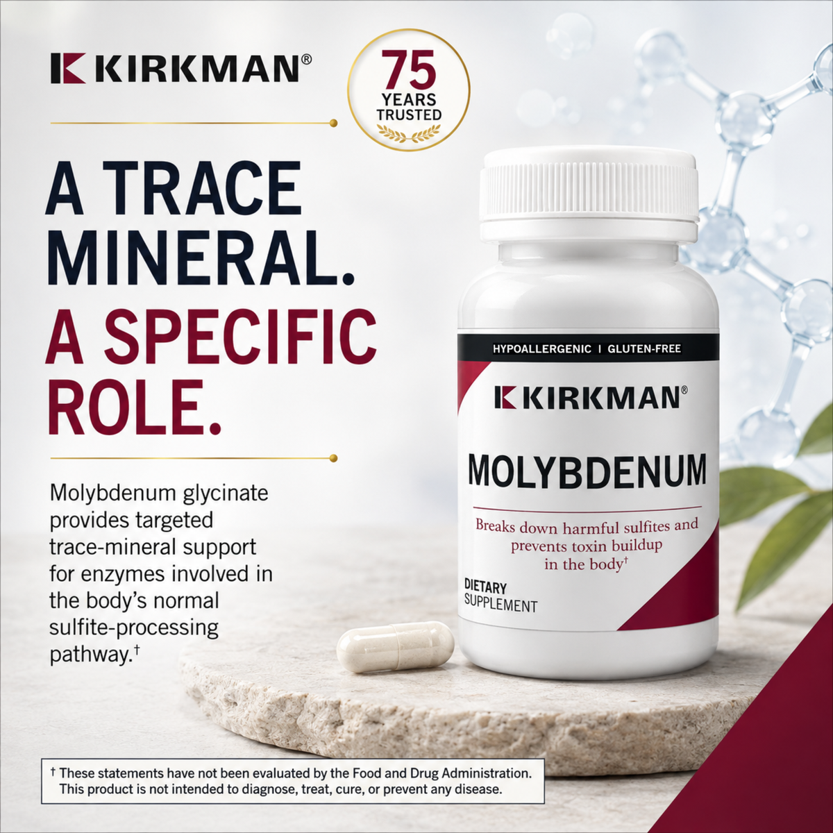 Kirkman Molybdenum dietary supplement bottle on a stone surface with a few capsules beside it, set against a white background with text and a 75 years trusted badge.