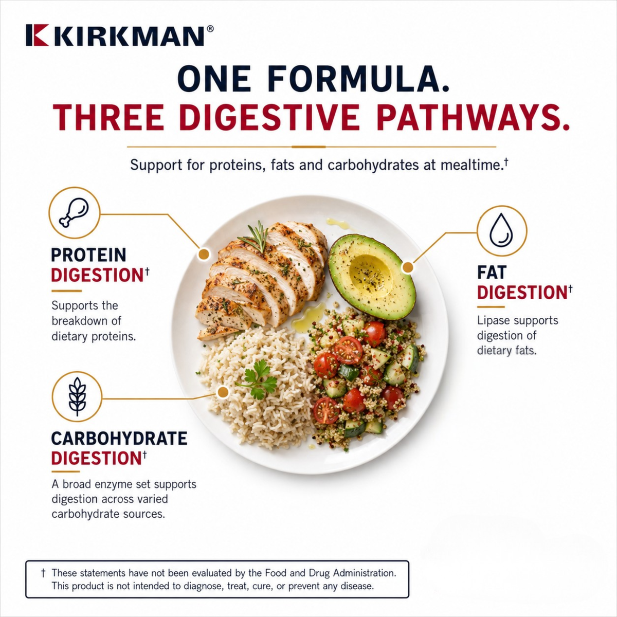 Kirkman digestive enzyme product infographic on a white background, featuring a plate of cooked chicken, rice, avocado, and tomatoes with callouts for protein, fat, and carbohydrate digestion pathways.