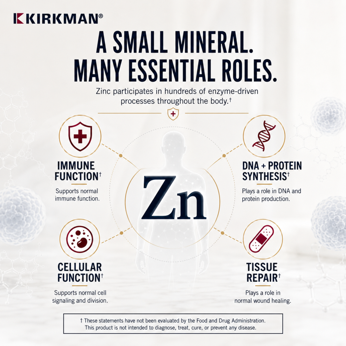 An informational graphic about zinc (Zn) with the Kirkman brand at the top left. The design features a large 'Zn' in the center, surrounded by five circular callouts highlighting its roles: immune function, cellular function, tissue repair, DNA + protein synthesis, and a disclaimer note at the bottom. These statements have not been evaluated by the Food and Drug Administration. This product is not intended to diagnose, treat, cure, or prevent any disease.