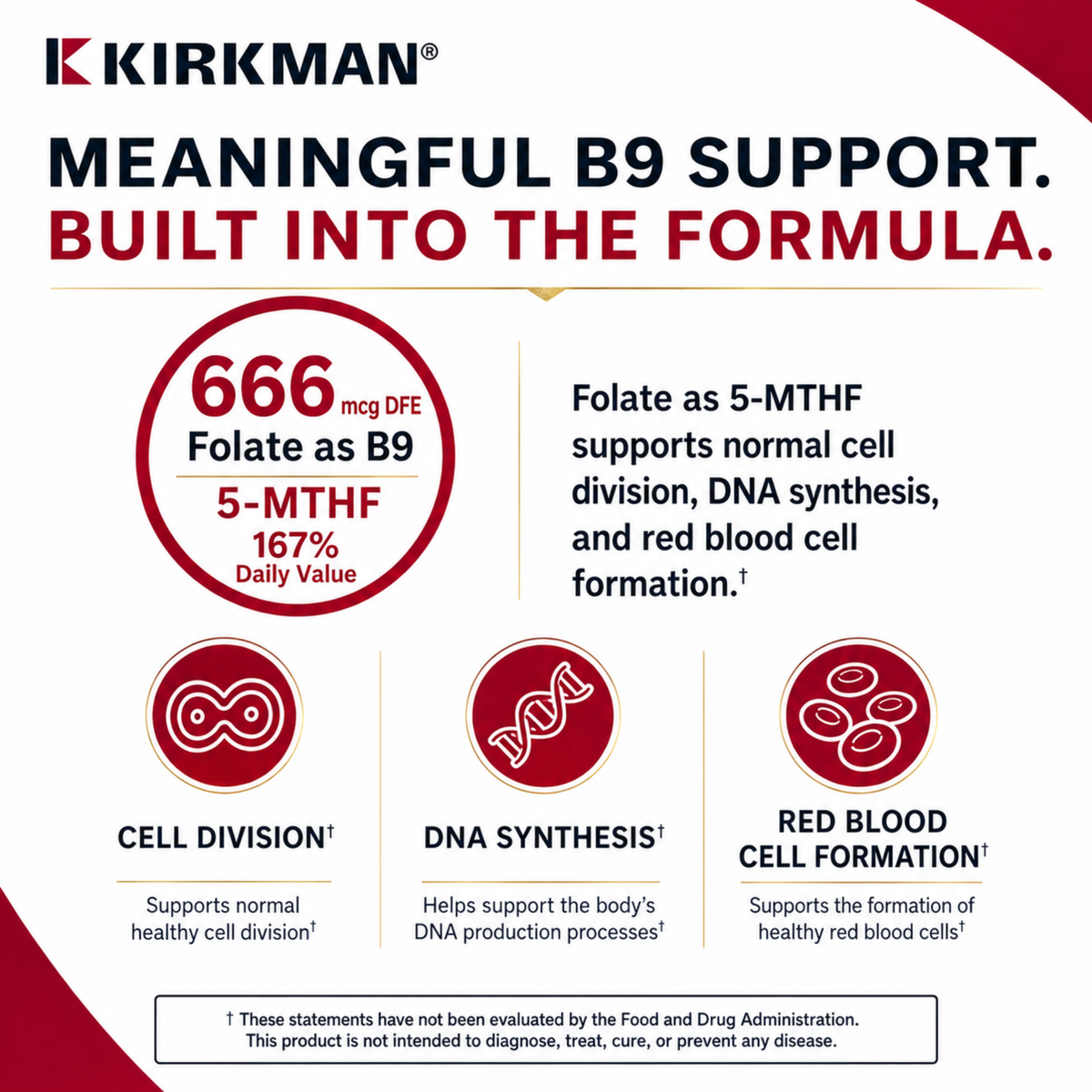 An informational marketing graphic for Kirkman MTHF, featuring the headline 'MEANINGFUL B9 SUPPORT. BUILT INTO THE FORMULA.